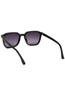 Солнцезащитные очки Famo модель E26007P_05 Фото