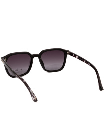 Солнцезащитные очки Famo модель E26007P_06 Фото