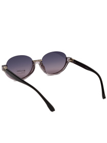 Окуляри Famo модель E26016P_01 Фото