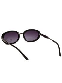 Солнцезащитные очки Famo модель E26006P_06 Фото