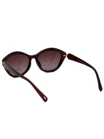 Солнцезащитные очки Famo модель E26035P_02 Фото