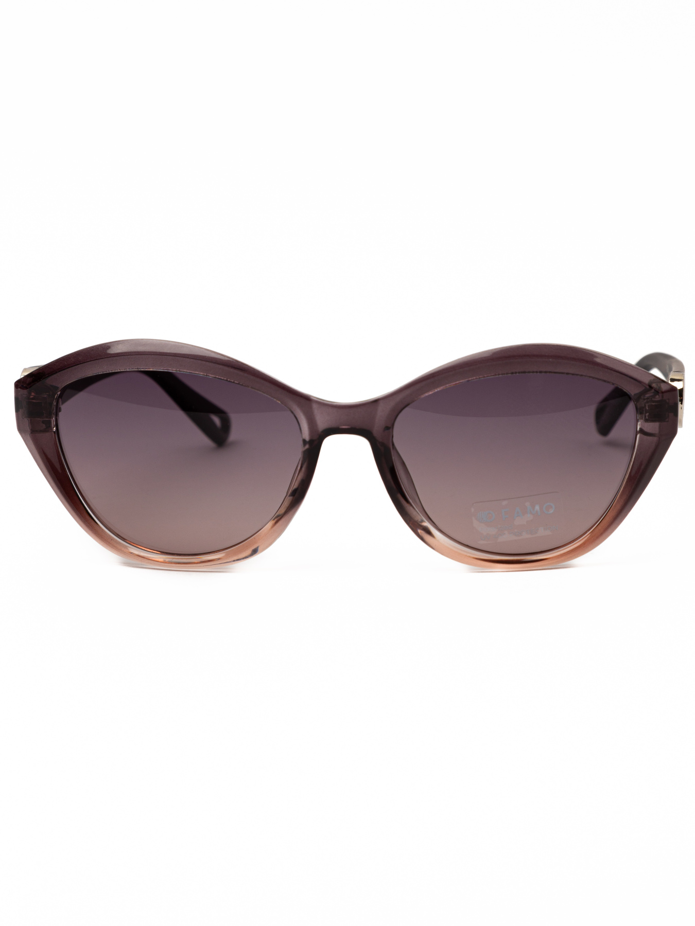 Очки Famo модель E26035P_03 Фото