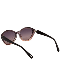 Очки Famo модель E26035P_03 Фото