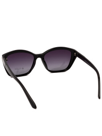 Солнцезащитные очки Famo модель E26023P_01 Фото