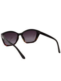 Солнцезащитные очки Famo модель E26023P_03 Фото