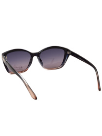 Солнцезащитные очки Famo модель E26023P_04 Фото