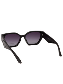 Очки Famo модель E26002P_01 Фото