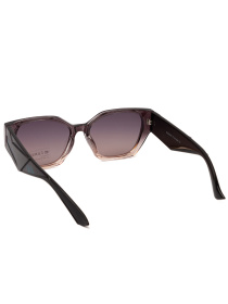 Солнцезащитные очки Famo модель E26002P_05 Фото