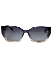 Солнцезащитные очки Famo модель E26002P_06 Фото