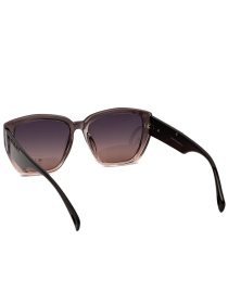 Очки Famo модель O22260P_02 Фото