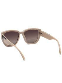 Солнцезащитные очки Famo модель O22260P_03 Фото