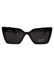 Солнцезащитные очки Famo модель E3532P_05 Фото