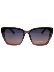 Очки Famo модель O22239P_03 Фото