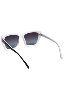 Солнцезащитные очки Famo модель O22239P_05 Фото