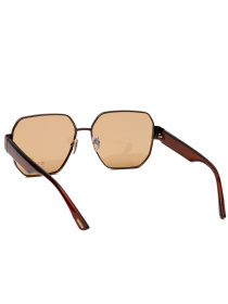 Очки Famo модель O24215P_02 Фото