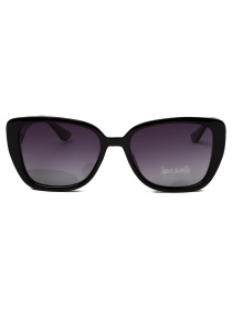 Солнцезащитные очки Famo модель O26038P_05 Фото