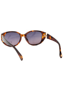 Очки Famo модель O26036P_04 Фото