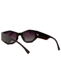 Сонцезахисні окуляри Famo модель E19045P_02 Фото