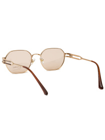 Солнцезащитные очки Famo модель E021P_05 Фото