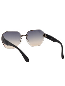 Очки Famo модель E85021_03 Фото