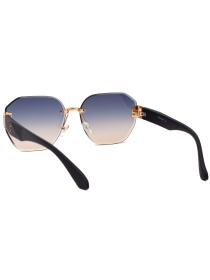 Очки Famo модель E85021_04 Фото