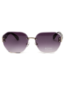 Солнцезащитные очки Famo модель E85021_06 Фото