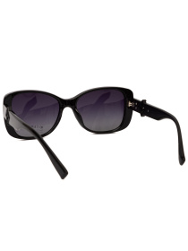 Солнцезащитные очки Famo модель E23036P_05 Фото