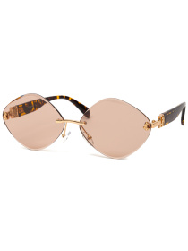 Солнцезащитные очки Famo модель E85008_01 Фото