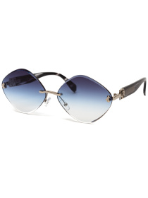 Окуляри Famo модель E85008_02 Фото