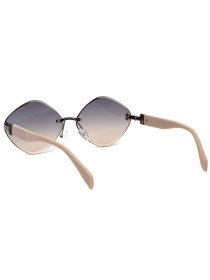 Очки Famo модель E85008_03 Фото