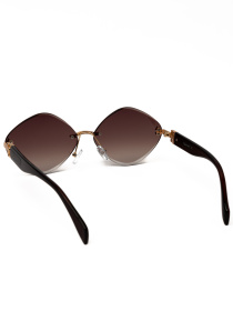 Очки Famo модель E85008_05 Фото