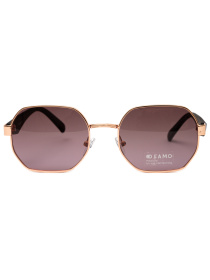 Солнцезащитные очки Famo модель E06343P_02 Фото