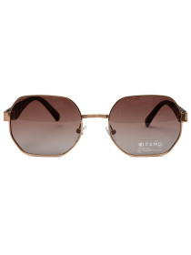 Очки Famo модель E06343P_04 Фото