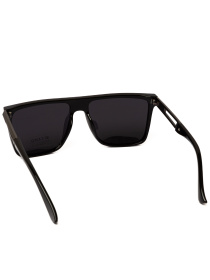 Солнцезащитные очки Famo модель E1847P_01 Фото