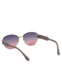 Солнцезащитные очки Famo модель E8049_07 Фото