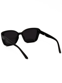 Солнцезащитные очки Famo модель E2259P_01 Фото