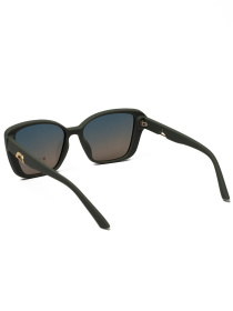 Солнцезащитные очки Famo модель E2259P_04 Фото