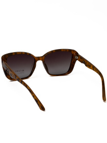 Солнцезащитные очки Famo модель E2259P_07 Фото