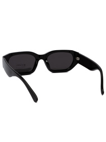 Солнцезащитные очки Famo модель A14057P_01 Фото