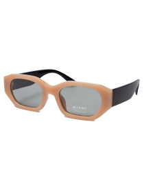 Солнцезащитные очки Famo модель A14057P_05 Фото