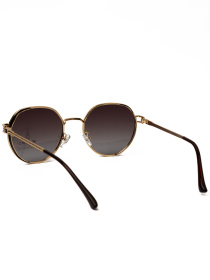 Солнцезащитные очки Famo модель A2436P_03 Фото