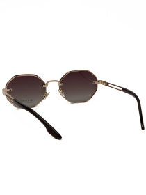 Очки Famo модель E52025P_03 Фото