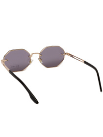 Очки Famo модель E52025P_07 Фото