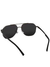 Сонцезахисні окуляри Famo модель E5718P_01 Фото