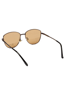 Солнцезащитные очки Famo модель E009P_02 Фото