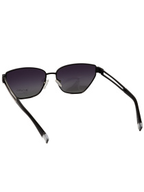 Окуляри Famo модель E33204P_01 Фото