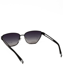 Солнцезащитные очки Famo модель E33204P_02 Фото