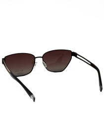 Очки Famo модель E33204P_04 Фото