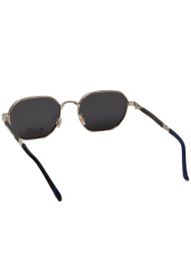 Солнцезащитные очки Famo модель Y52005_02 Фото