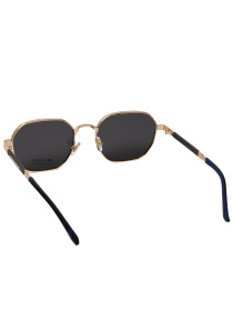 Солнцезащитные очки Famo модель Y52005_03 Фото